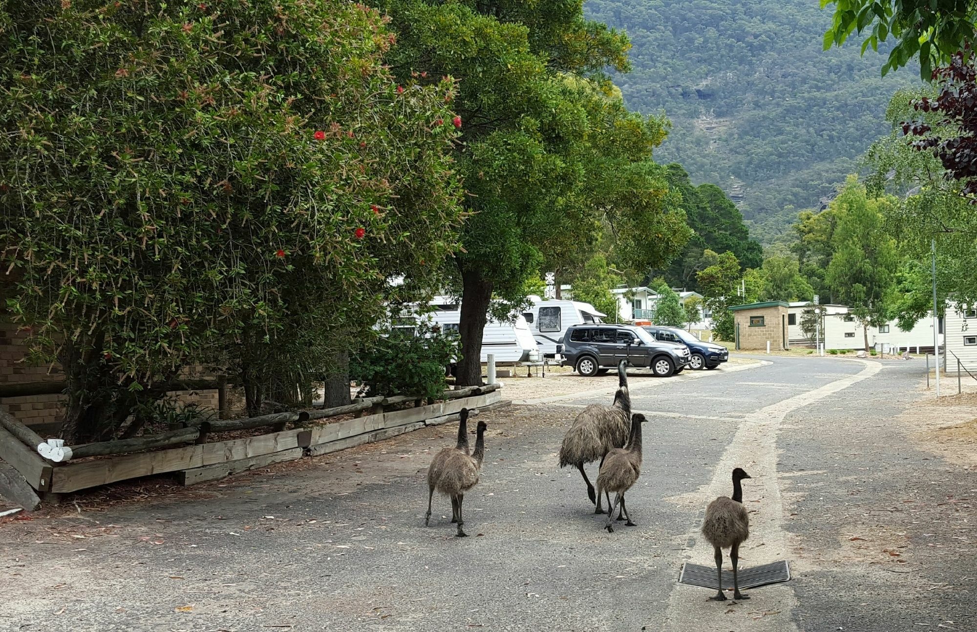 Breeze Holiday Parks - Halls Gap Esterno foto
